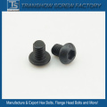Black Zinc Plated Hexagon Socket Button Head Screws